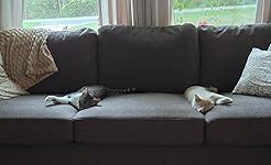 Review Image by Catherine Catherine