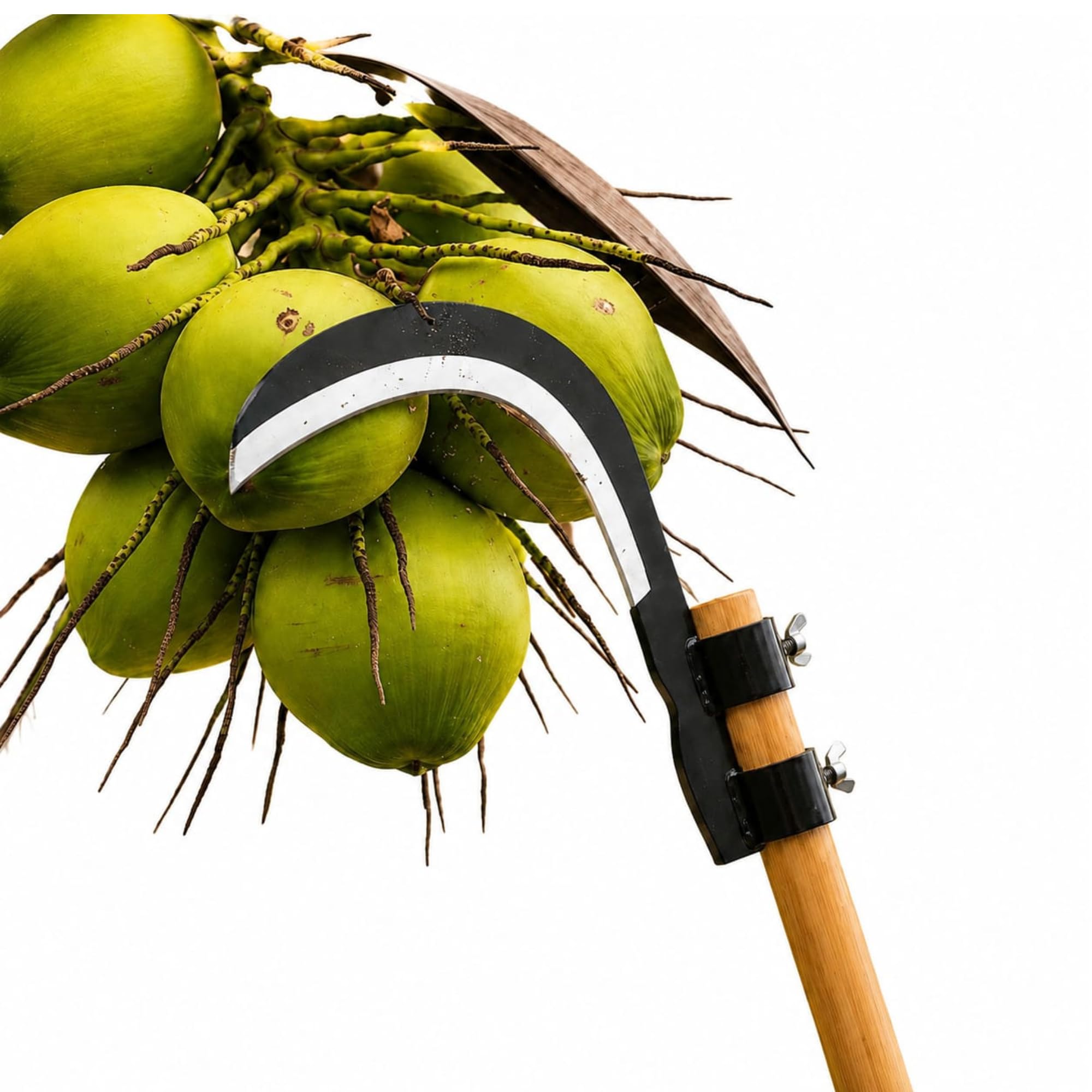 Grass Sickle Cutter Head | Heavy Coconut Plucker with Adjustable Handle Clamp | Razor- Sharp Metal Blade for Tree Branches, Grass, Weeds, Gardening | Multipurpose Agricultural Hand Tool-picture-39