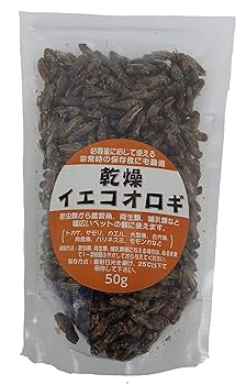 大容量⭐︎国産養殖　乾燥フタホシコオロギ　5kg 大容量⭐︎国産養殖 乾燥フタホシコオロギ 5kg