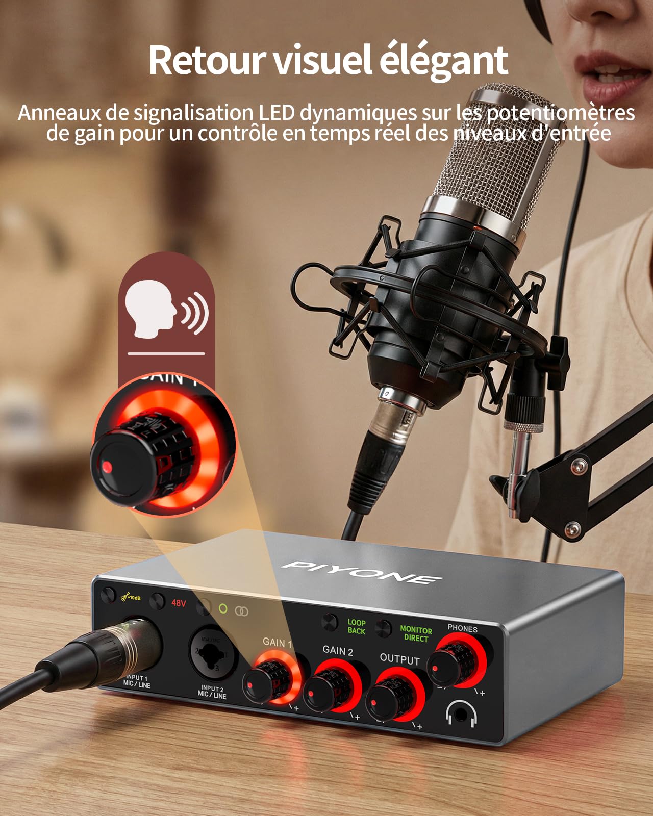 Interface Audio USB 2x2, 24 bits/192 kHz Carte Son Studio pour PC/Mac/iOS, Enregistrement, Podcast, Entrée XLR/TRS, 48V Phantom, Loopback, Monitoring Zéro Latence (Gris Alliage)