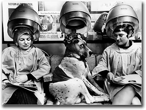 LUCKLYDOUDOU Poster Decorative Canvas Painting Women and Dog at Hair Salon Beauty Salon Vintage Black and White Funny Print Bedroom and Kitchen Office Wall Decoration 12x18inch