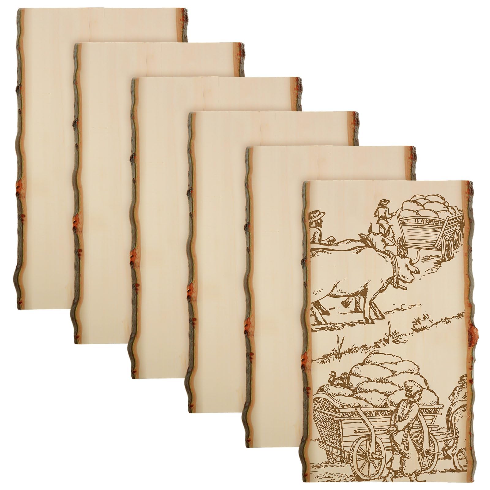 Briwooody 6 Stück hohle Holzplanken, lebende Kanten, Holzplatten zum Basteln, rustikale Holztafel für Heimwerker, Brennen, Heimdekoration, Hochzeiten (27,9 x 17,8-22,9 cm)
