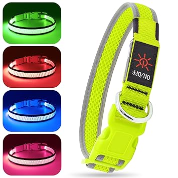 BSEEN LED Lighted Dog Collar - USB Rechargeable Mesh Reflective Pet Collar, Glow in The Dark Collars for Night Dog Walking (Neon Green-Medium-Collar)