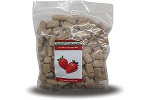 Rodent Blocks for All Your Squirrels' Needs