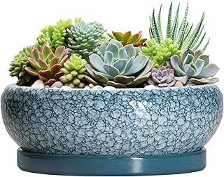 12 Patio Plant Ideas to Add Color, Texture, and Privacy 2 Large Succulent Planters - 13 Inch Ceramic Bonsai Pots with Drainage Hol...