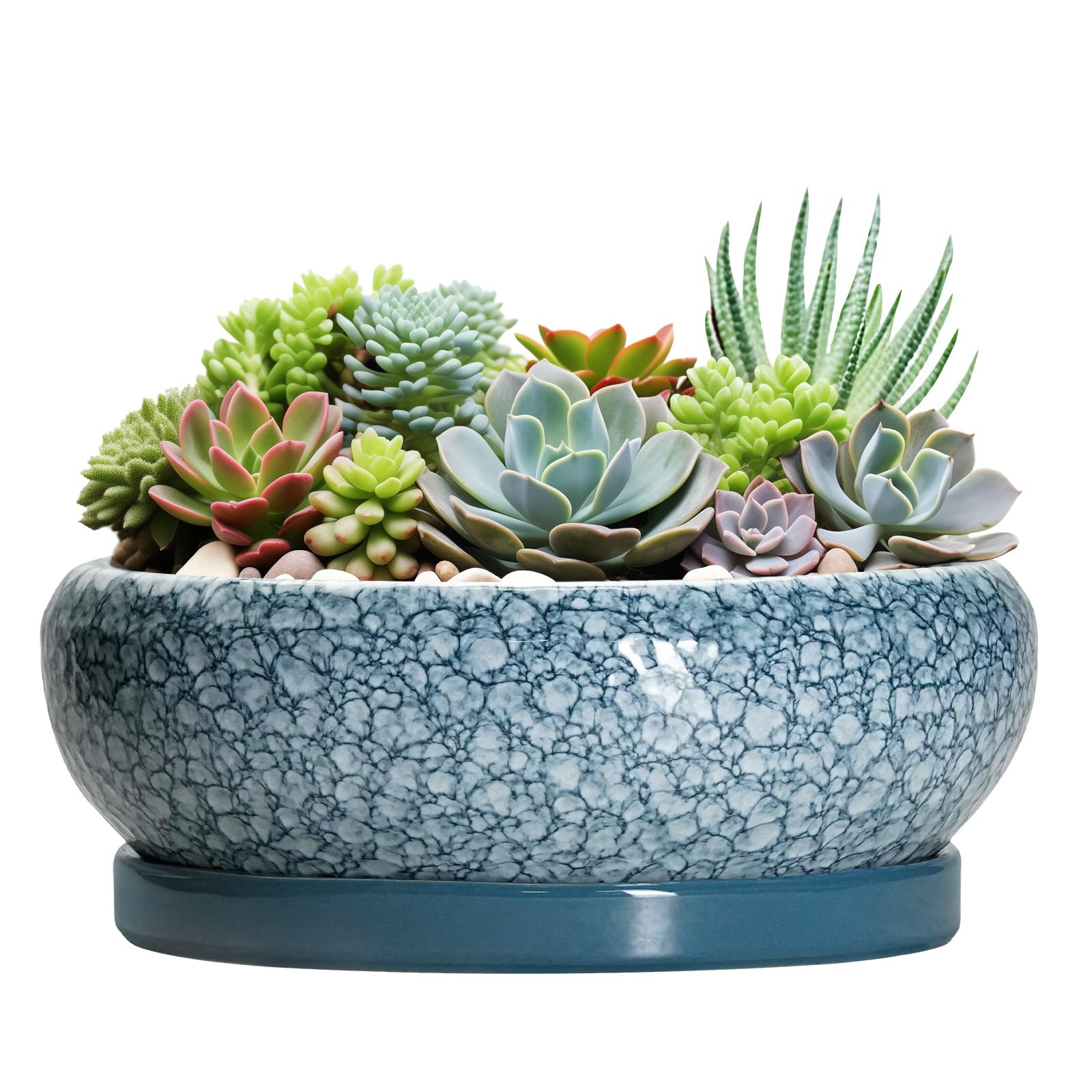 EPFamily Scale Blue-grey Succulent Planter