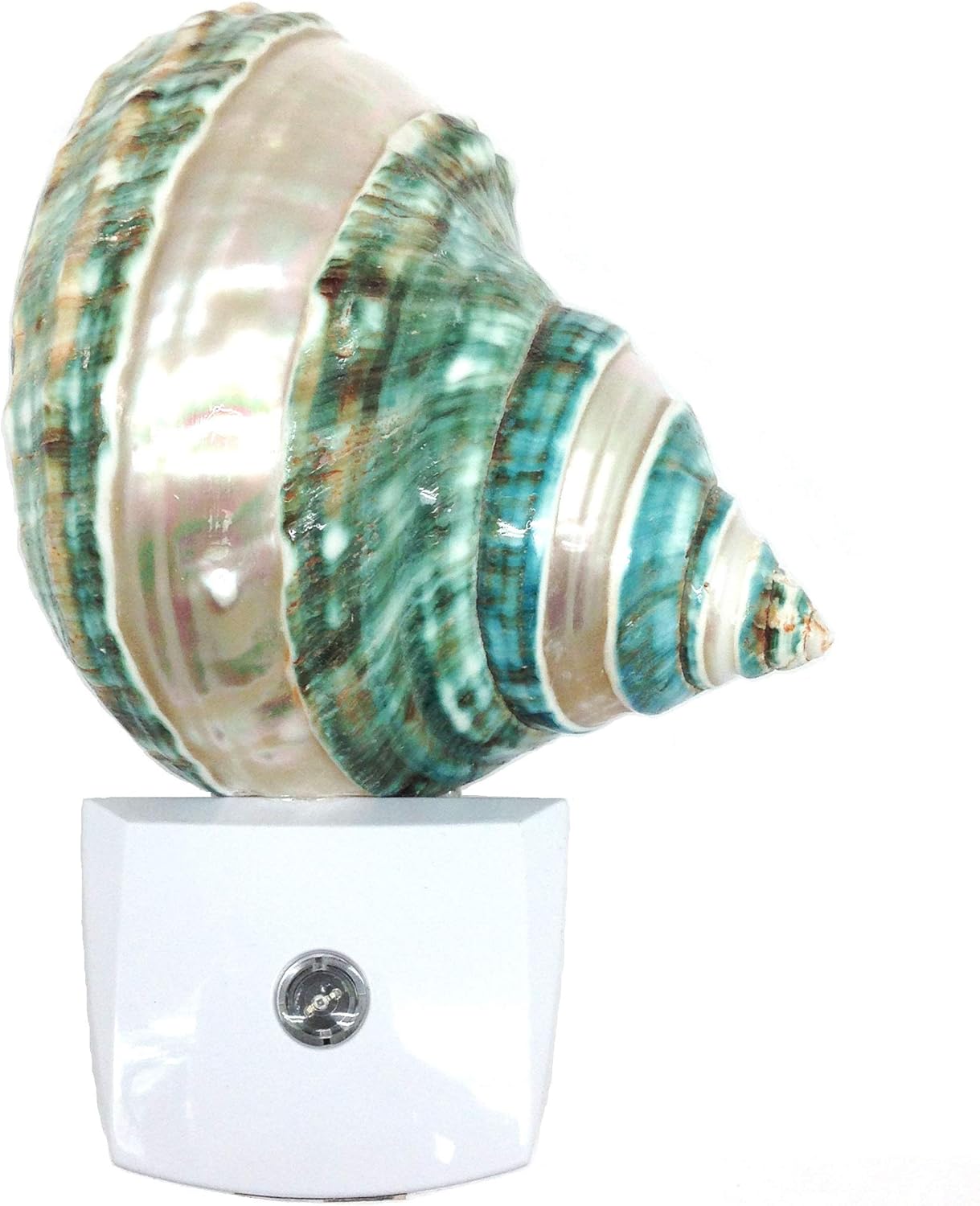 PEPPERLONELY Banded Jade Turbo Shells Night Light, Auto