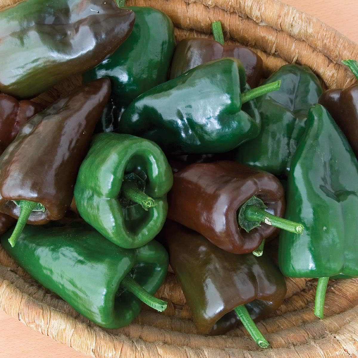 Burpee Poblano' (Ancho) 4" Heart-Shaped Dark Green to Red Peppers, 3 Live Plants | 2 1/2" Pot