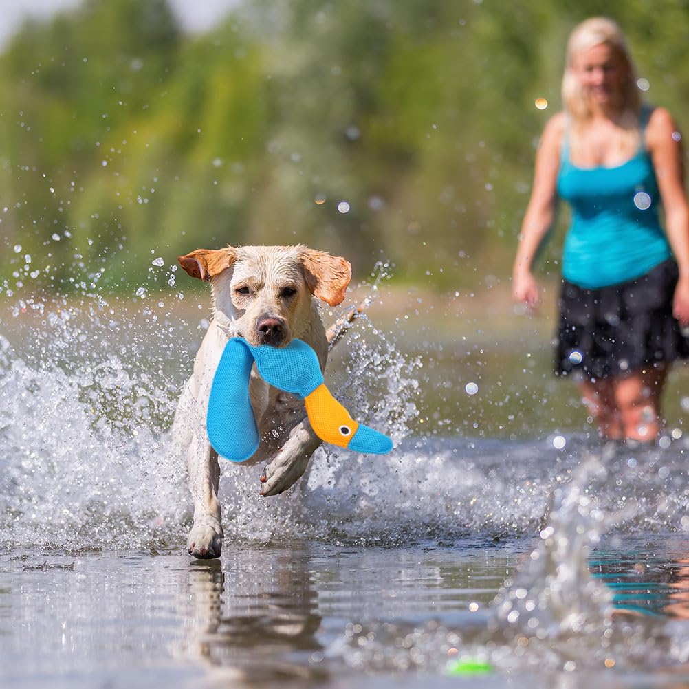 EXPAWLORER Juguetes flotantes para piscina de agua para perros, 2 unidades, color azul y naranja, para entrenamiento y masticación de mascotas, 50,5 cm
