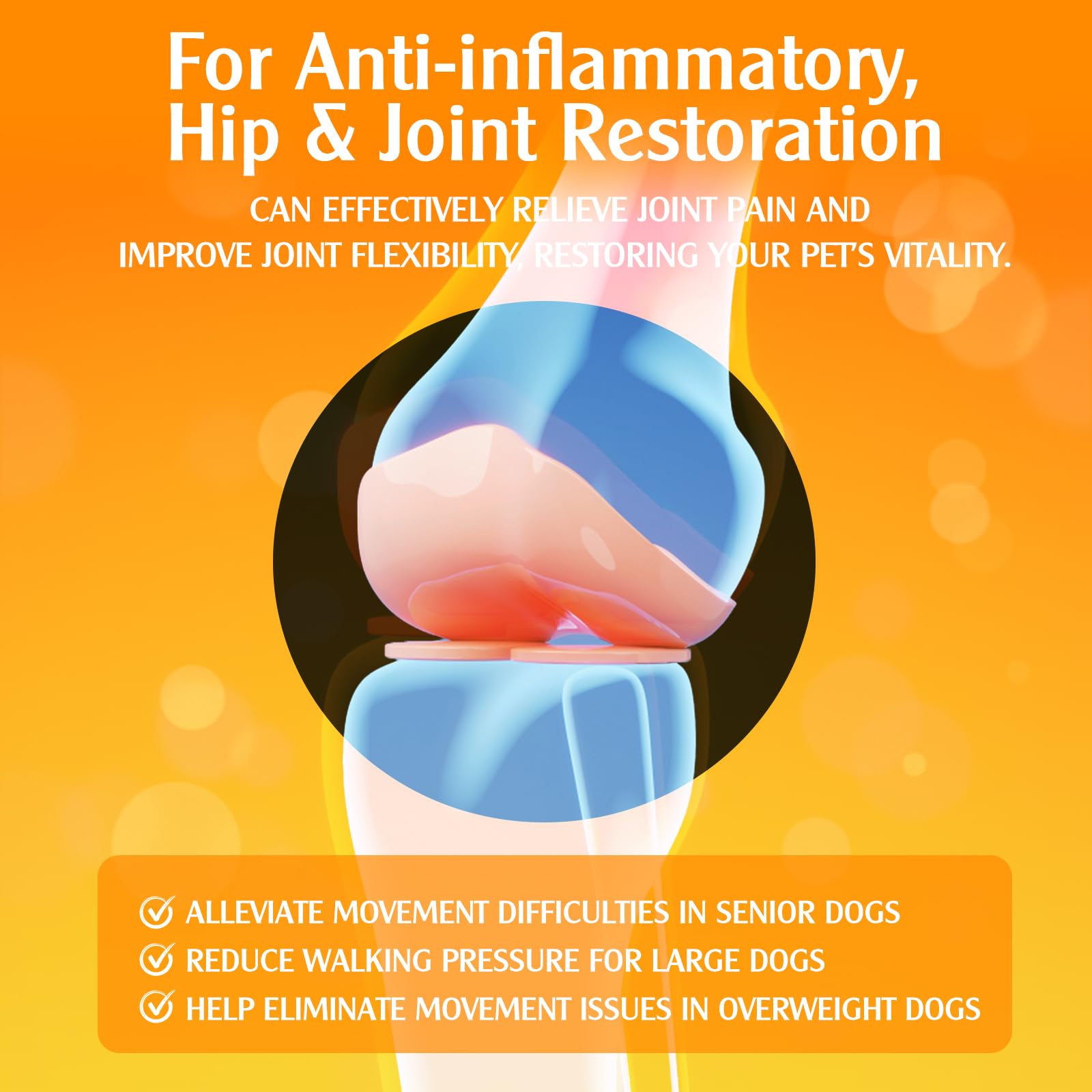 Gotas de curcumina y cúrcuma para Perros Mayores y Trabajadores: Movilidad y flexibilidad Articular, recuperación del Dolor, digestivo, Cerebro, hígado, Hueso, músculo, Piel, Pelaje - Mejor absorción