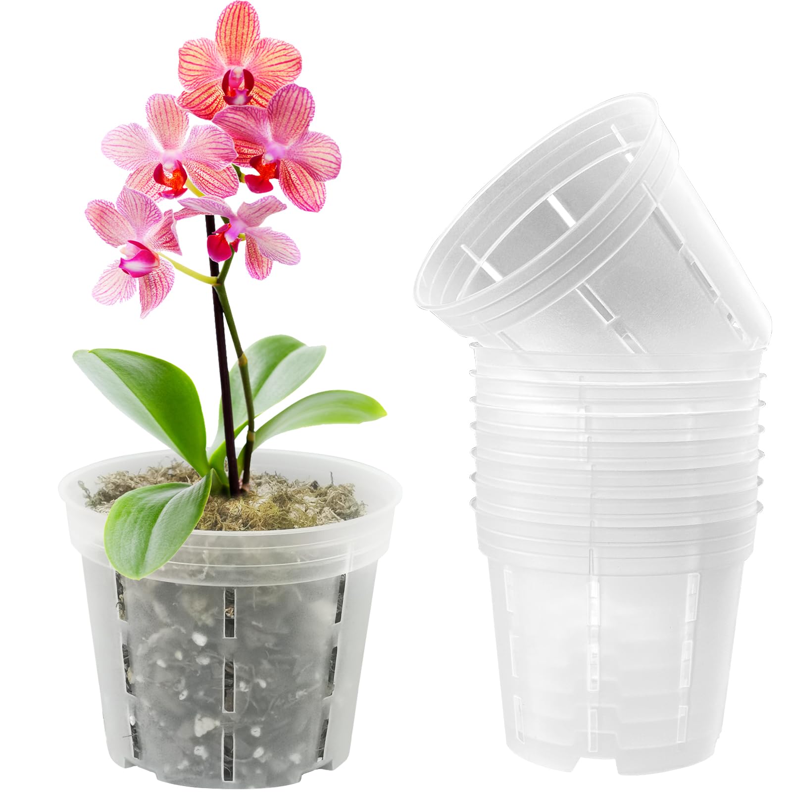 pavtner Orchid Pot 4 inch 8 Pack, Orchid Pots with Holes for Repotting, Breathable Slotted Flower Plant Nursery Pot