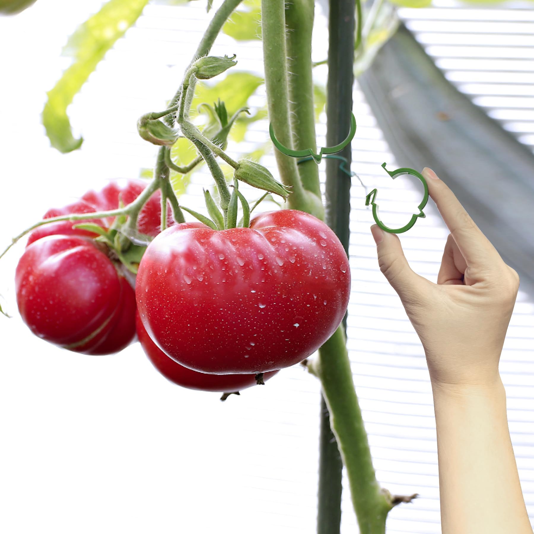 Lot De 250 Pinces à Tomates YeahBoom - Vert - 25mm - Pour Plantes Et Vignes - Jardinage