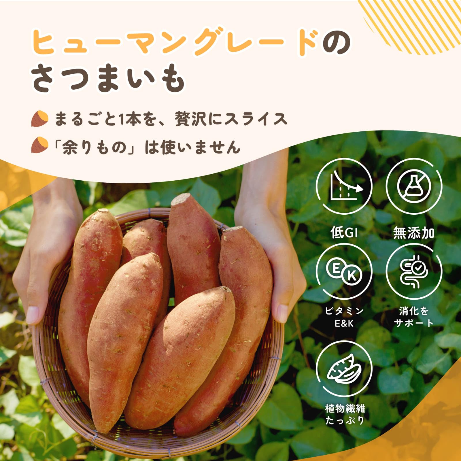 Amazon | iPaw 犬のおやつ 食品の無添加 クリーンラベル認証 厳選した