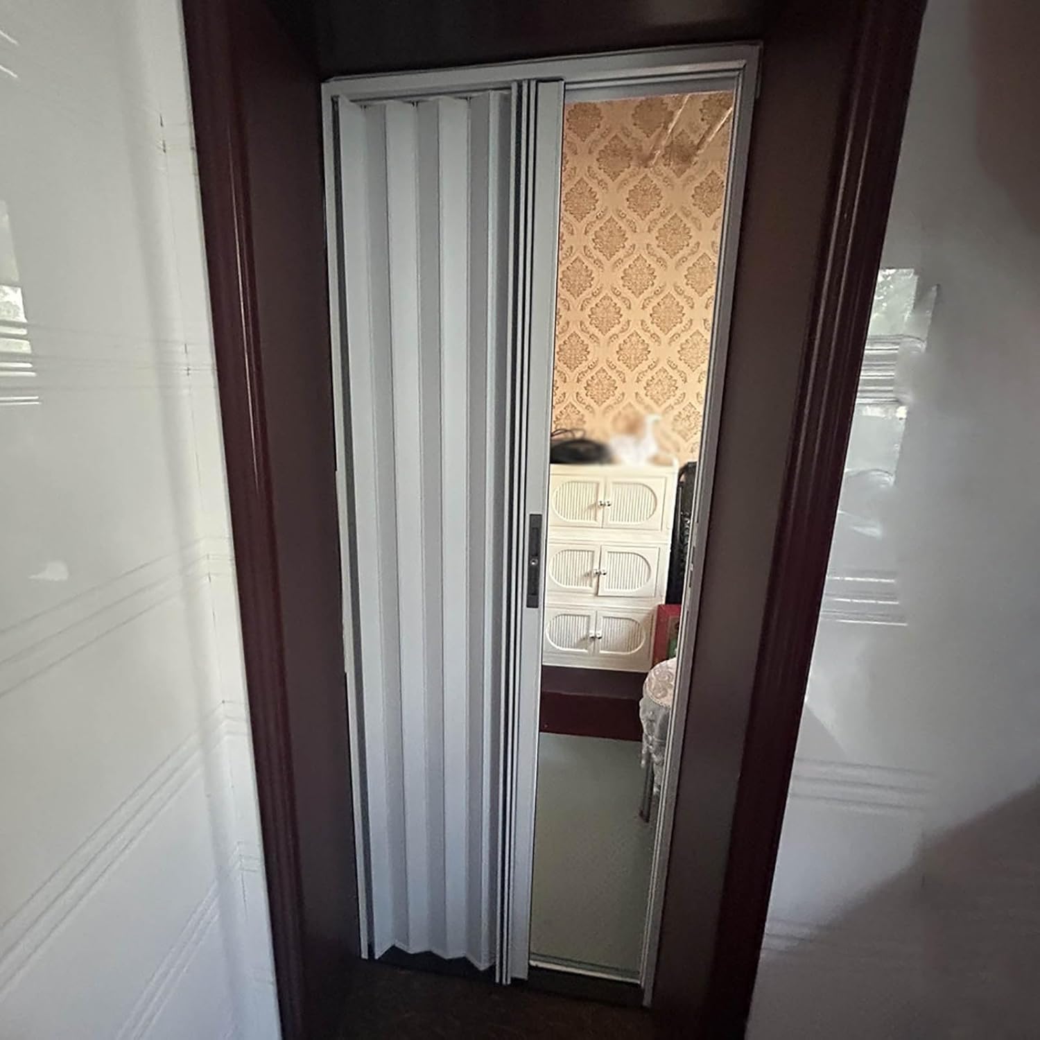 Accordion Folding Doors - Free Standing Room Divider, Retractable Aluminum Sliding Door for Living Room & Closet, Oil Smoke Partition, 63x80in Interior Doors