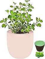 Vista 13 de Kit de cerámica rosa para cultivo de hierbas hidropónicas, kit de iniciación de jardín de cocina con riego automático con semillas orgánicas