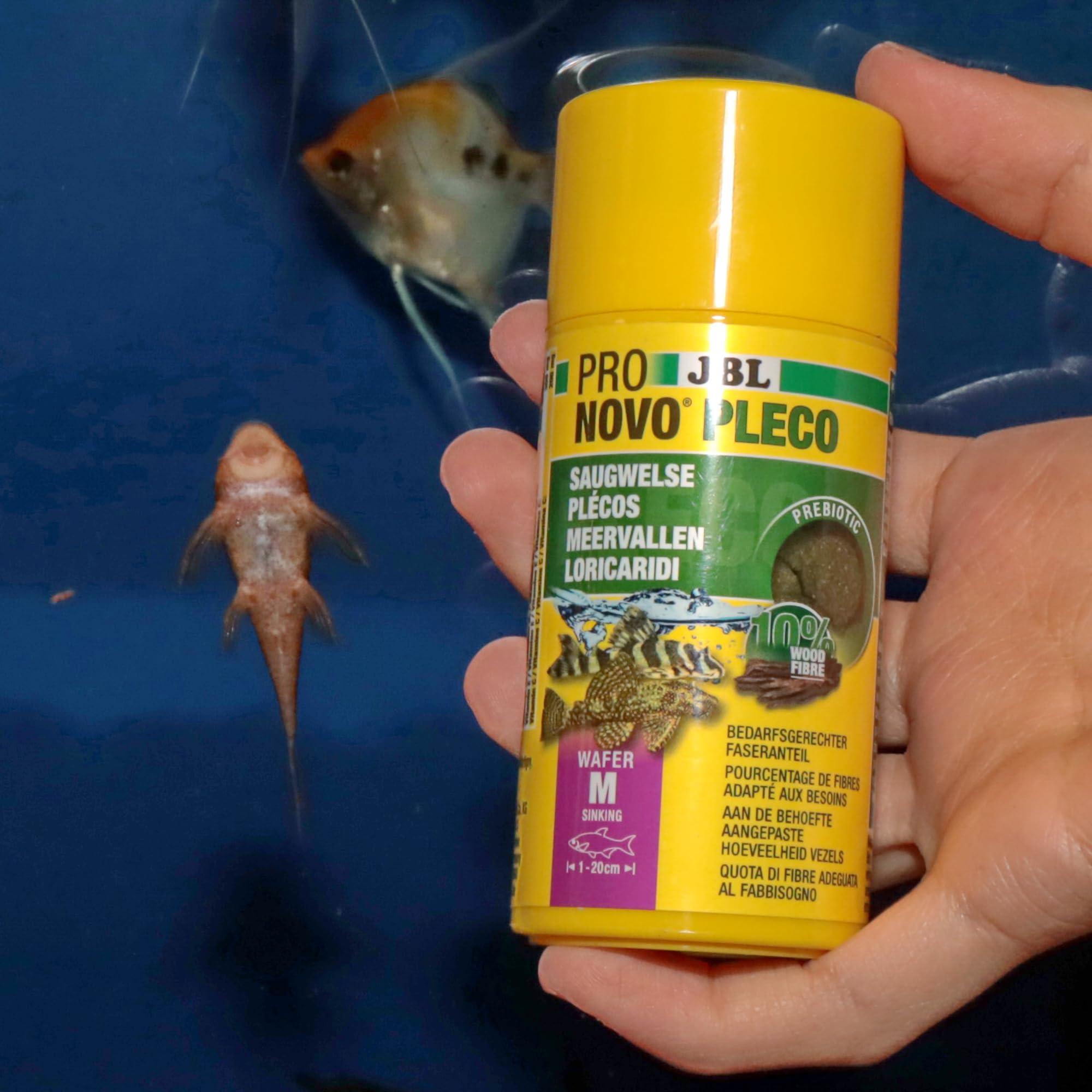 JBL PRONOVO PLECO WAFER, Futterwafer für Saugwelse von 1-20 cm, Fischfutter, Größe M, 100 ml