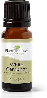 Plant Therapy White Camphor Essential Oil 10 mL (1/3 oz) 100% Pure, Undiluted, Therapeutic Grade