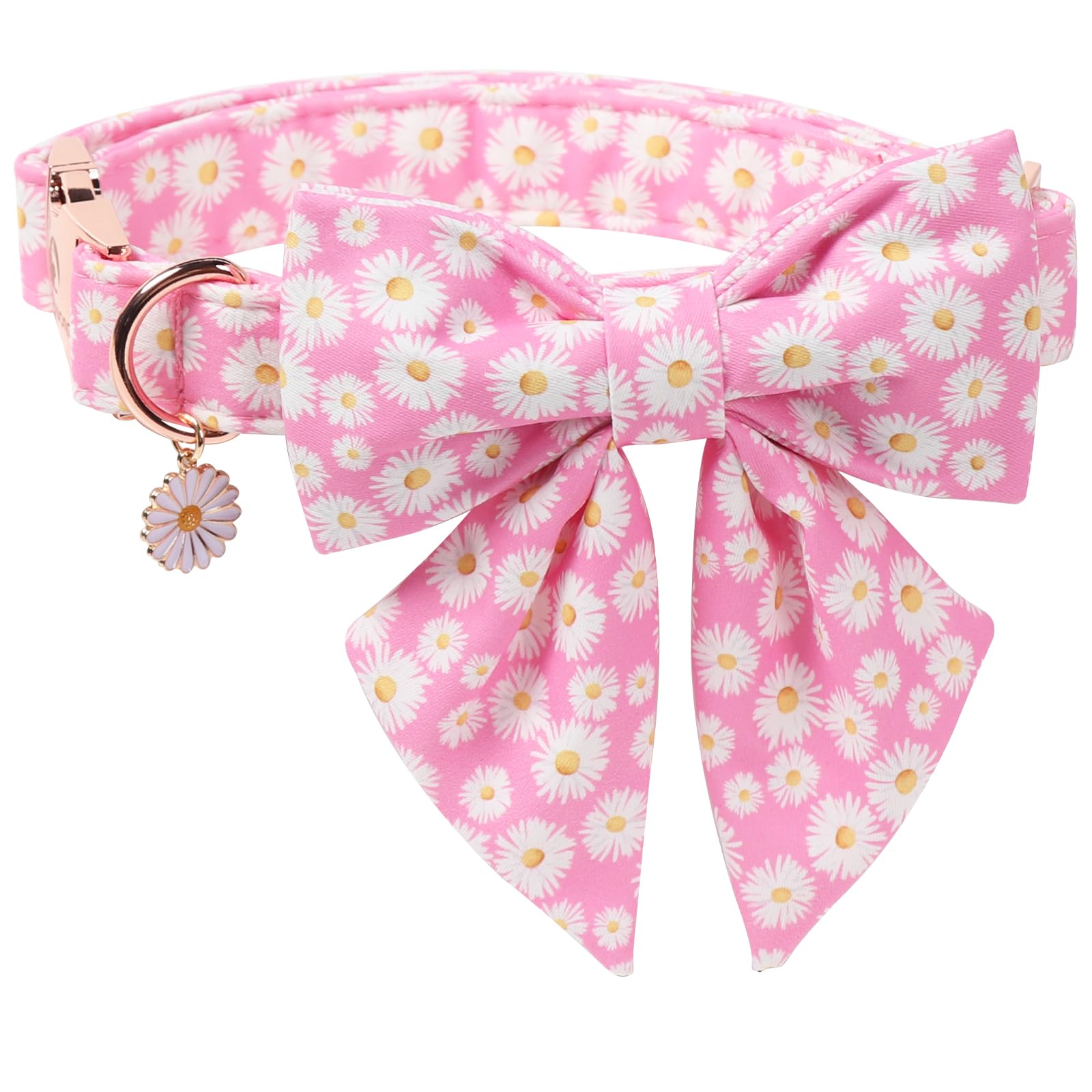 DOGWONG Spring Dog Collar