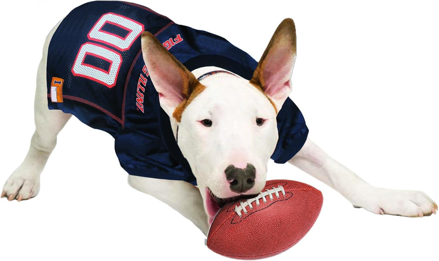 NCAA College Illinois Fighting Illini Mesh Jersey for Dogs & Cats, Medium. Licensed Big Dog Jersey with Your Favorite Football/Basketball College Team (Pack of 2)