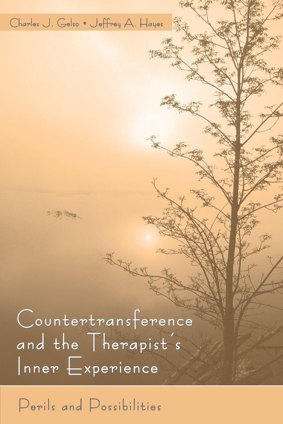 Countertransference & the Therapist's Inner Experience:... - Gelso, Charles J.