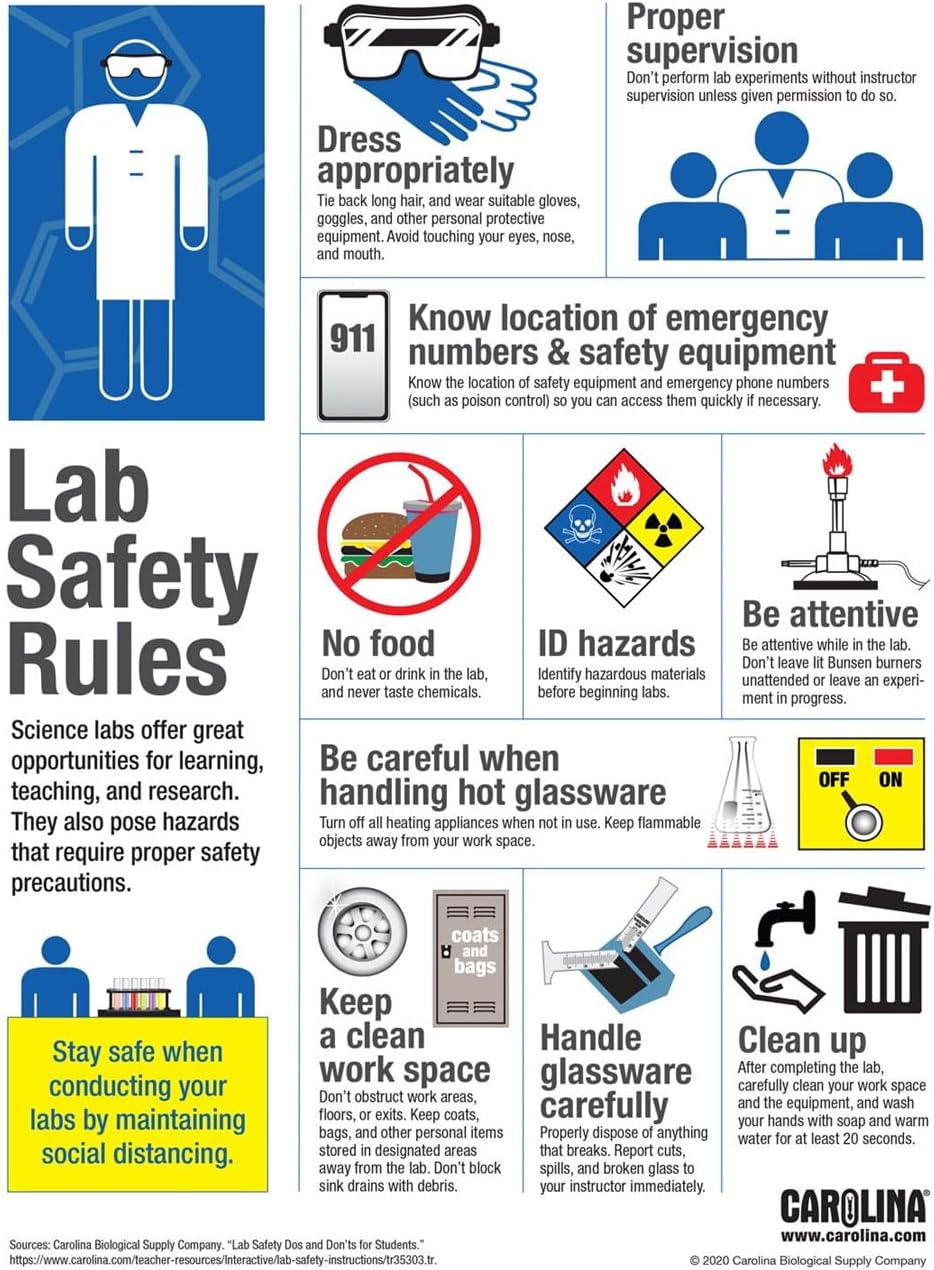 BMWZX Lab Science Safety Rules Poster Canvas Print Wall Art Modern Classroom Kitchen Bedroom Room Aesthetics Decoration Unframed and Framed (unframed,08x12 inch)