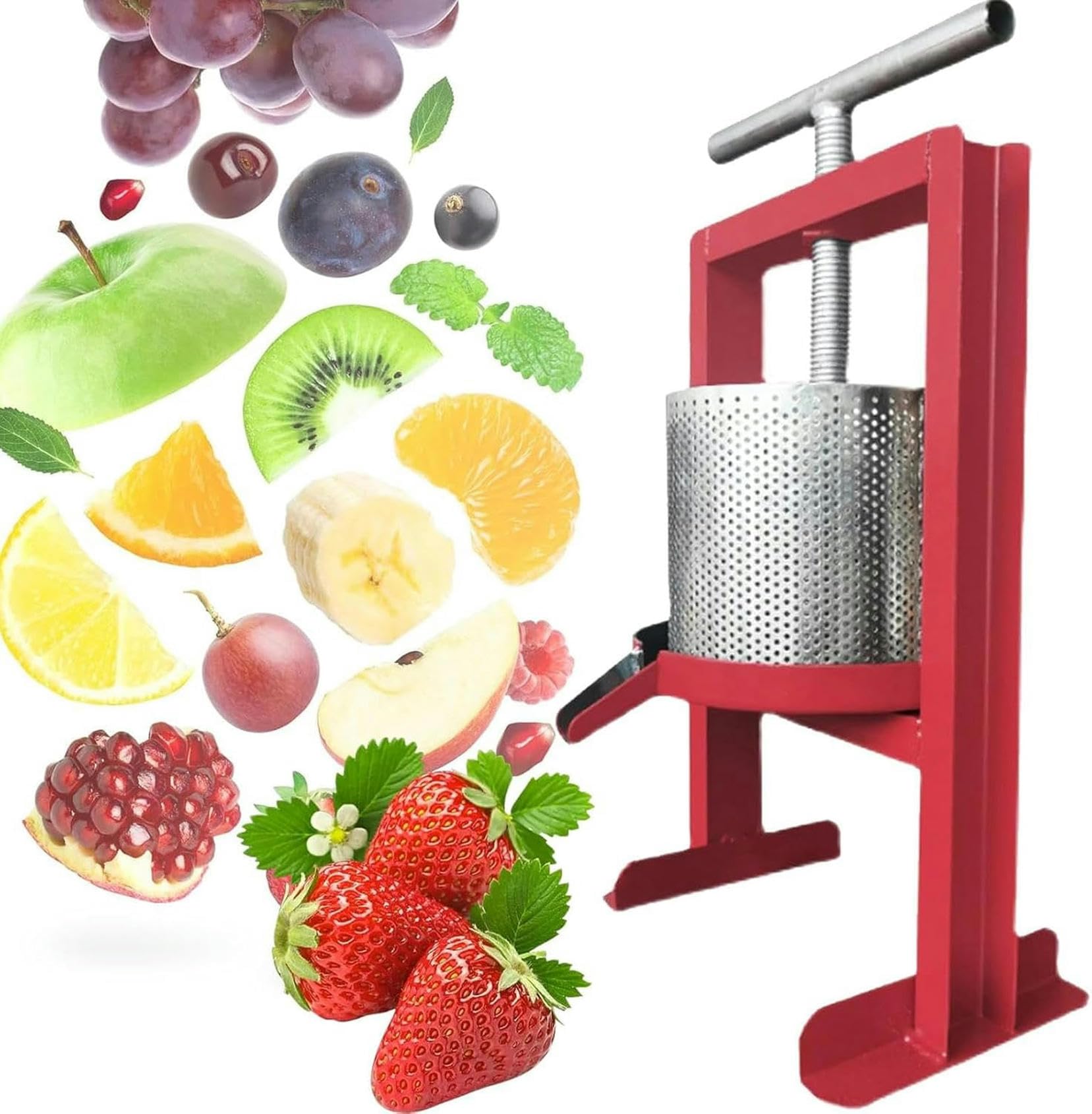 Presse à raisin en acier inoxydable avec manivelle rotative pour fruits