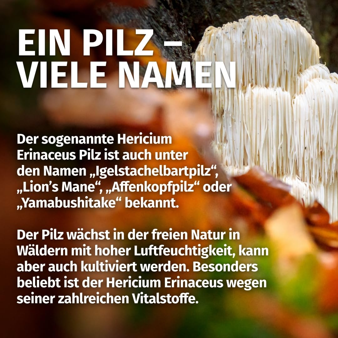 Green Naturals® Lions Mane – 2100 mg Hericium Erinaceus Extrakt pro Tag – 30% Polysaccharide + 5% Beta-Glucan – Löwenmähne Vitalpilz, vegan & ohne Zusätze – Made in Germany – 180 Kapseln