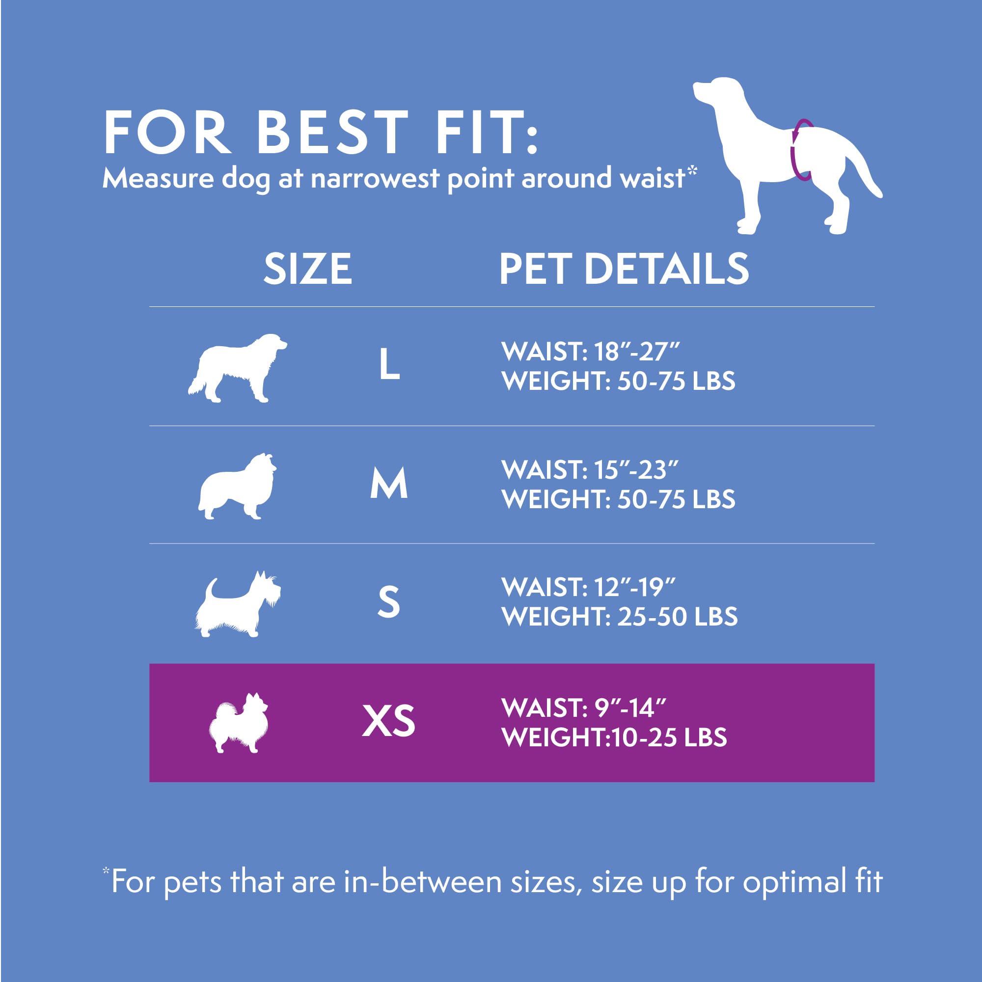 Simple Solution Pannolini a Fascia Monuso per Cani Maschio con Idicatore di Bagnato, Taglia Toy, XS, 12 unità