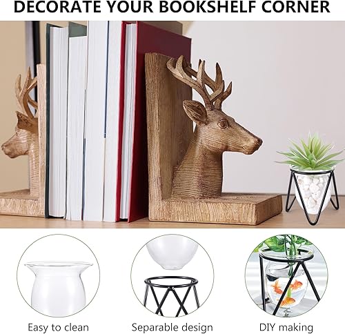 Miniatura 6 de Jspupifip 3 piezas de terrario de cristal para plantas con soporte de metal, soportes para plantas de aire, jarrones hidropónicos para plantas de