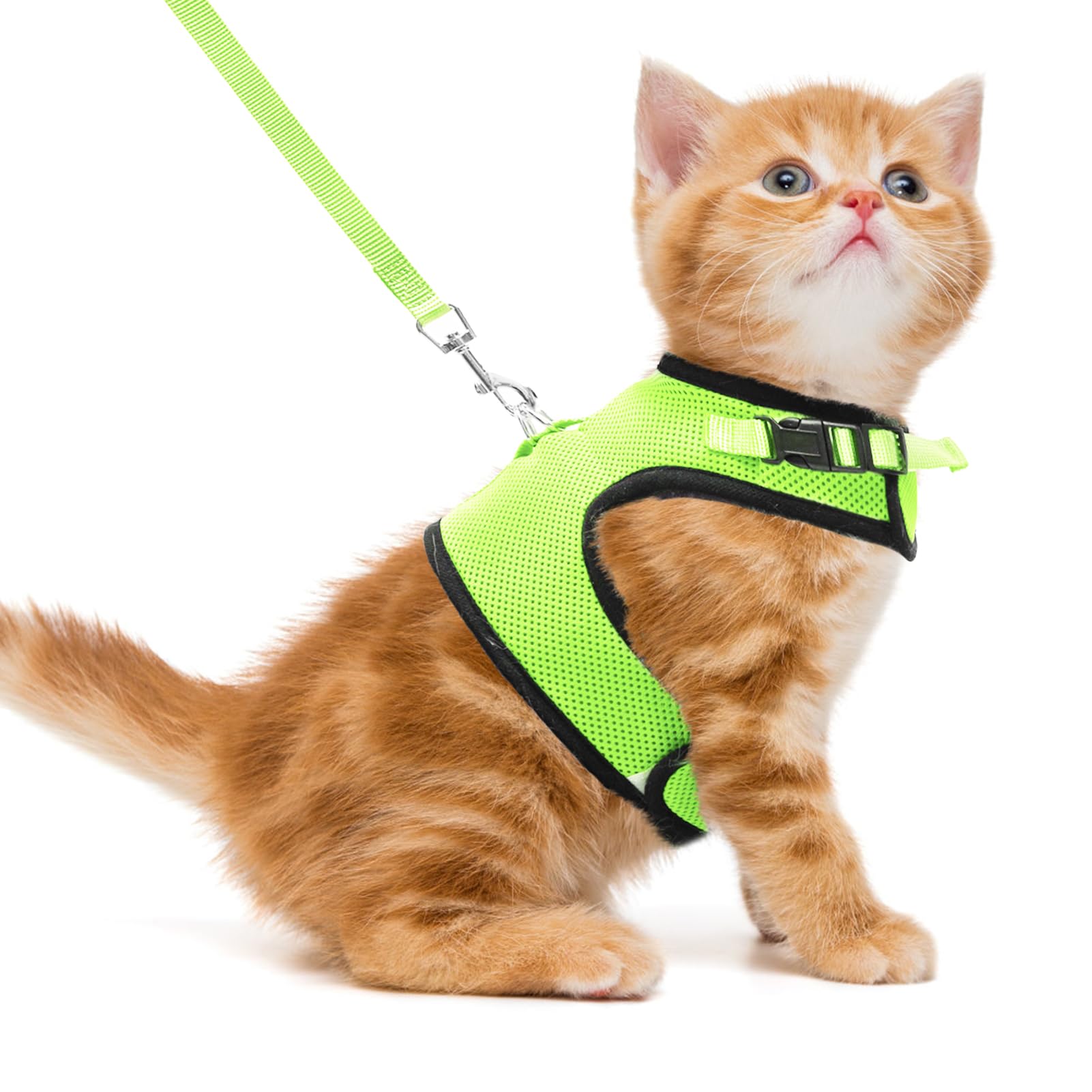 PUPTECK Soft Mesh Cat Vest Harness and Leash Set Puppy Padded Pet Harnesses Escape Proof for Cats Small Dogs Rabbits Bunny, Fluorescent Green S