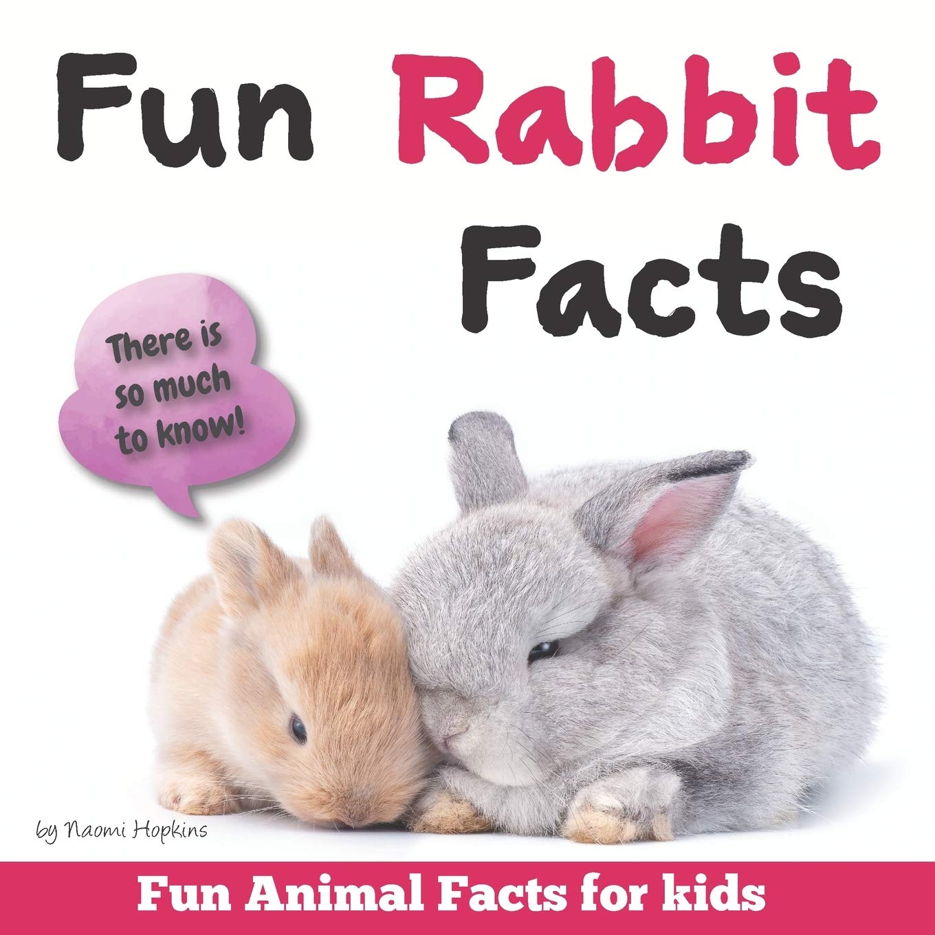 Buy Fun Rabbit Facts Fun Animal Facts for kids (Bunny FACTS BOOK WITH