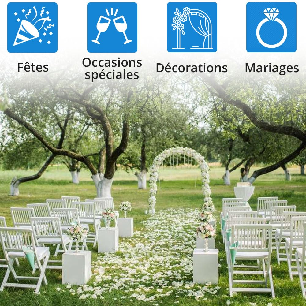 Jonami 1200 Pétales de Rose Artificielle Blanc en Soie Décoration Saint Valentin Mariage