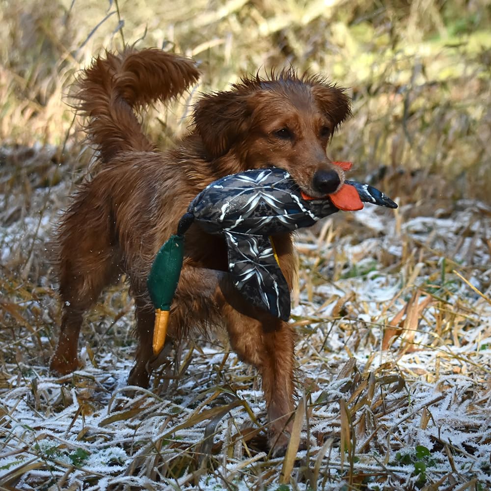 Sporting Saint Dead Bird Entendummy Pro – Realistic Apportierdummy Anatra, ca. 700 g, galleggiante, con ali e corda da lancio, per allenamento fittizio e cani da caccia