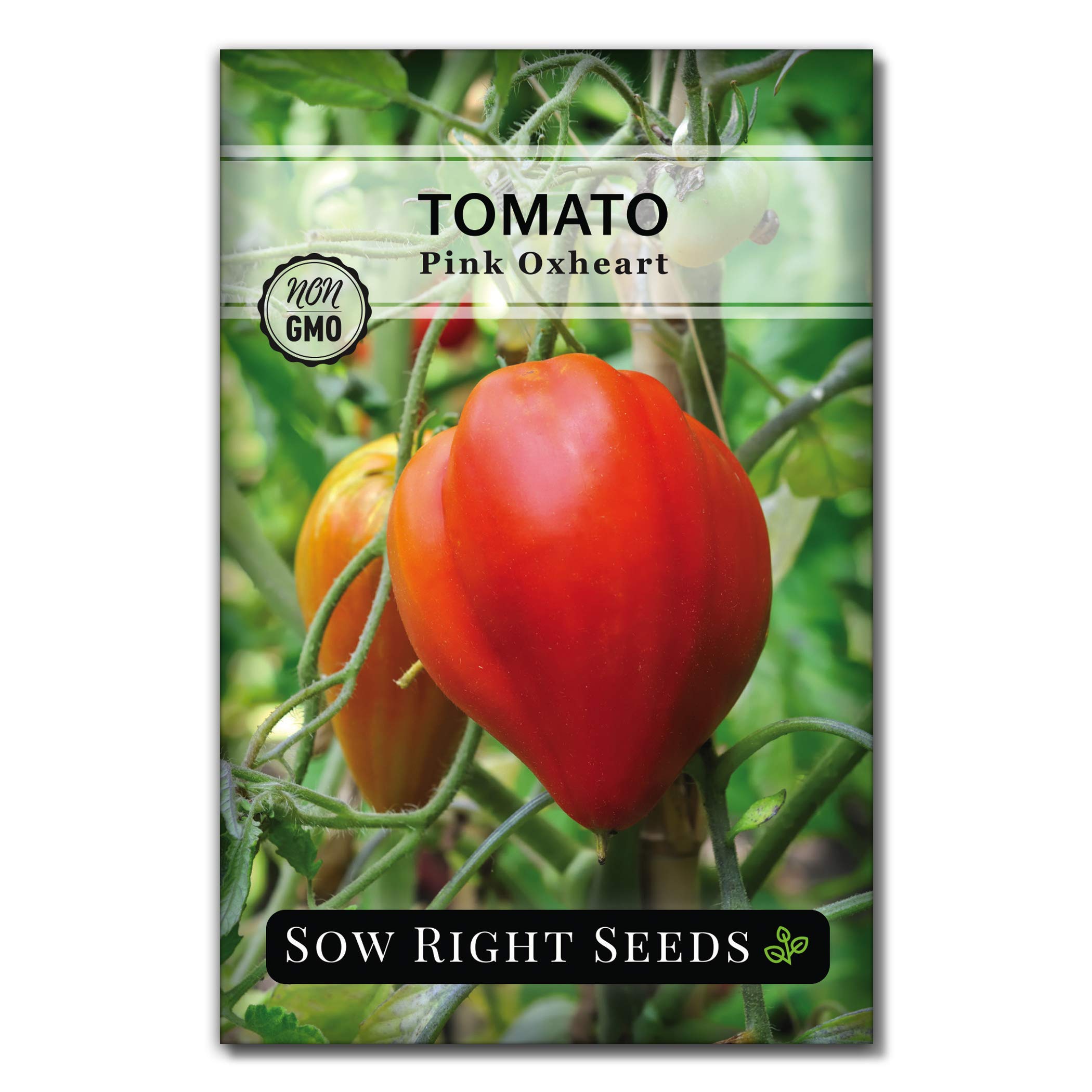 Sow Right Seeds - Oxheart Pink Tomato Seed for Planting - Non-GMO Heirloom Packet with Instructions to Plant a Home Vegetable Garden - Large Slicer, Pink Skin and Heart Shape - Indeterminate