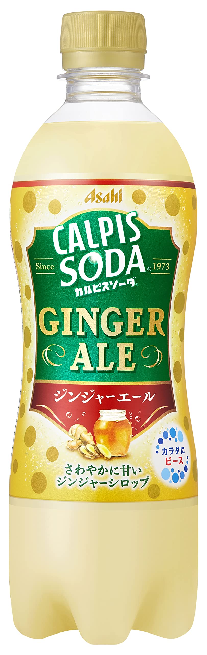 Amazon.co.jp: アサヒ飲料 カルピスソーダ ジンジャーエール 500ml×24