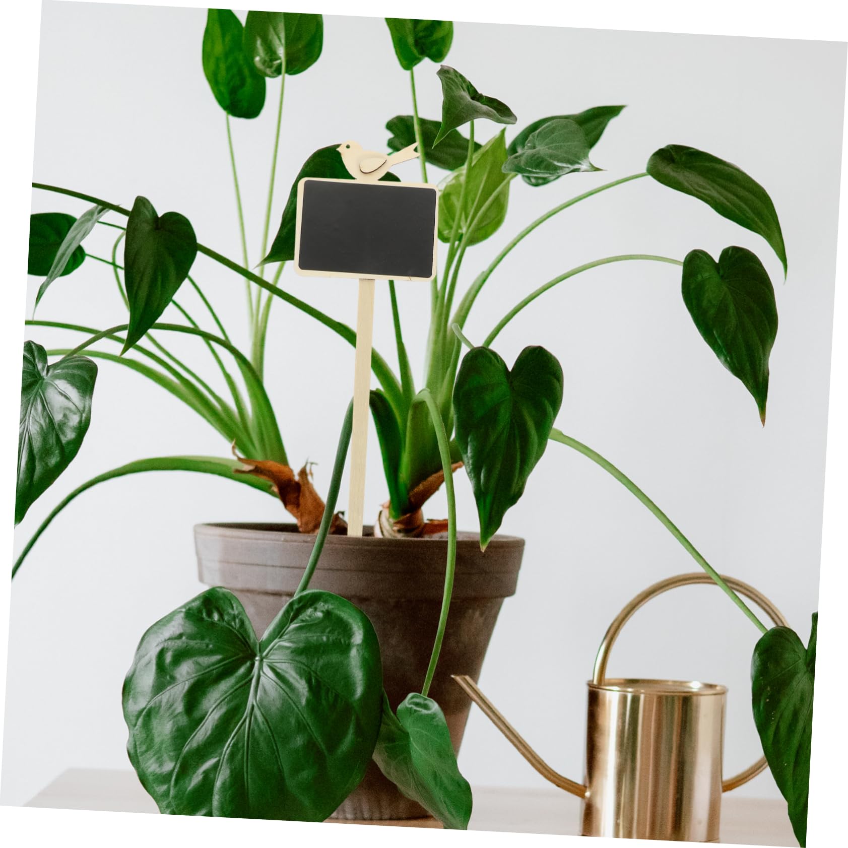 5 Ensembles Étiquettes Pour Plantes Ardoises Pour Décoration De Identification Plantes Accessoires De Jardinage Élégants 5 Pièces * 5