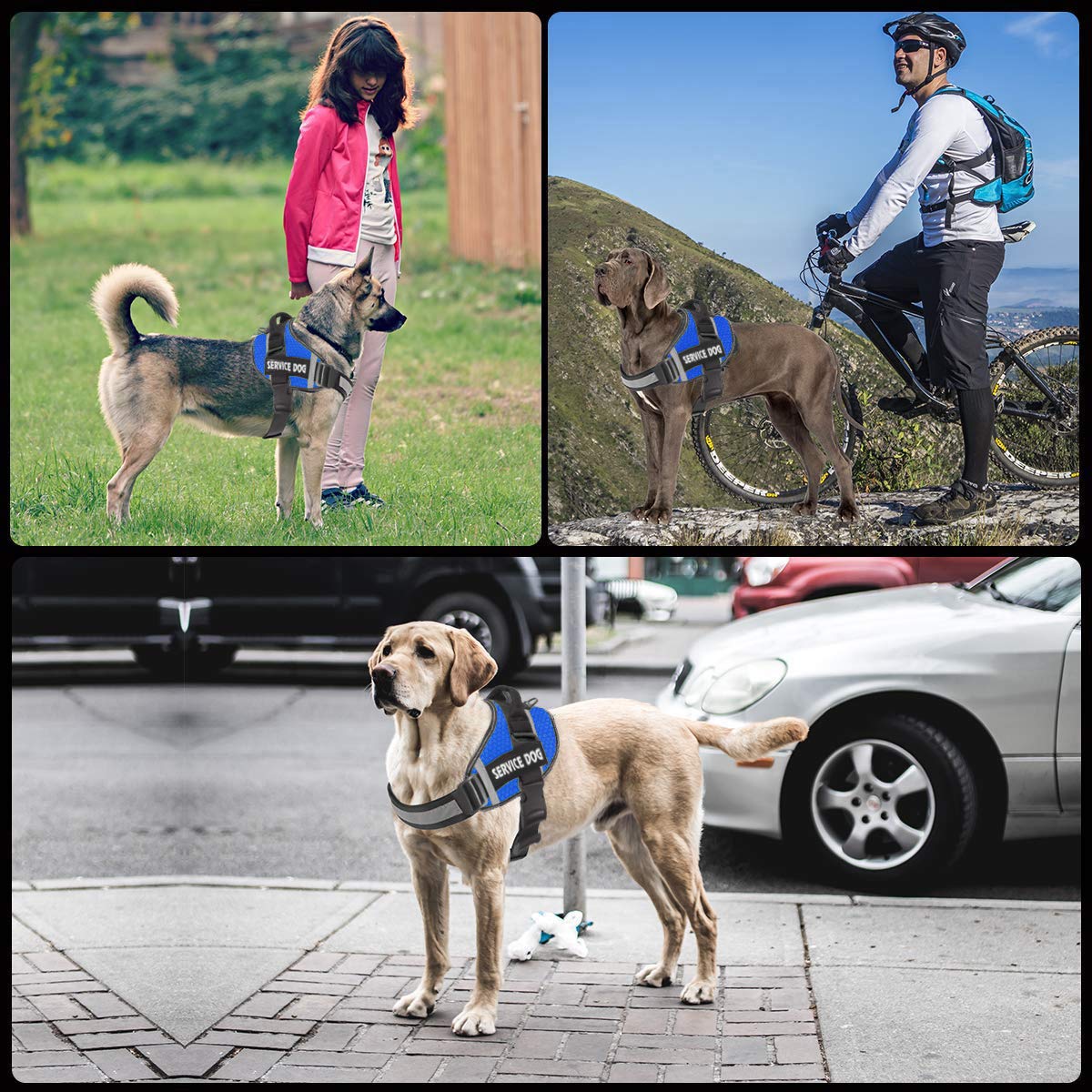JSXD Arnés para perros, arnés de perro con mango ajustable para exteriores, chaleco de nailon reflectante 3M para razas, fácil control para perros pequeños, medianos y grandes