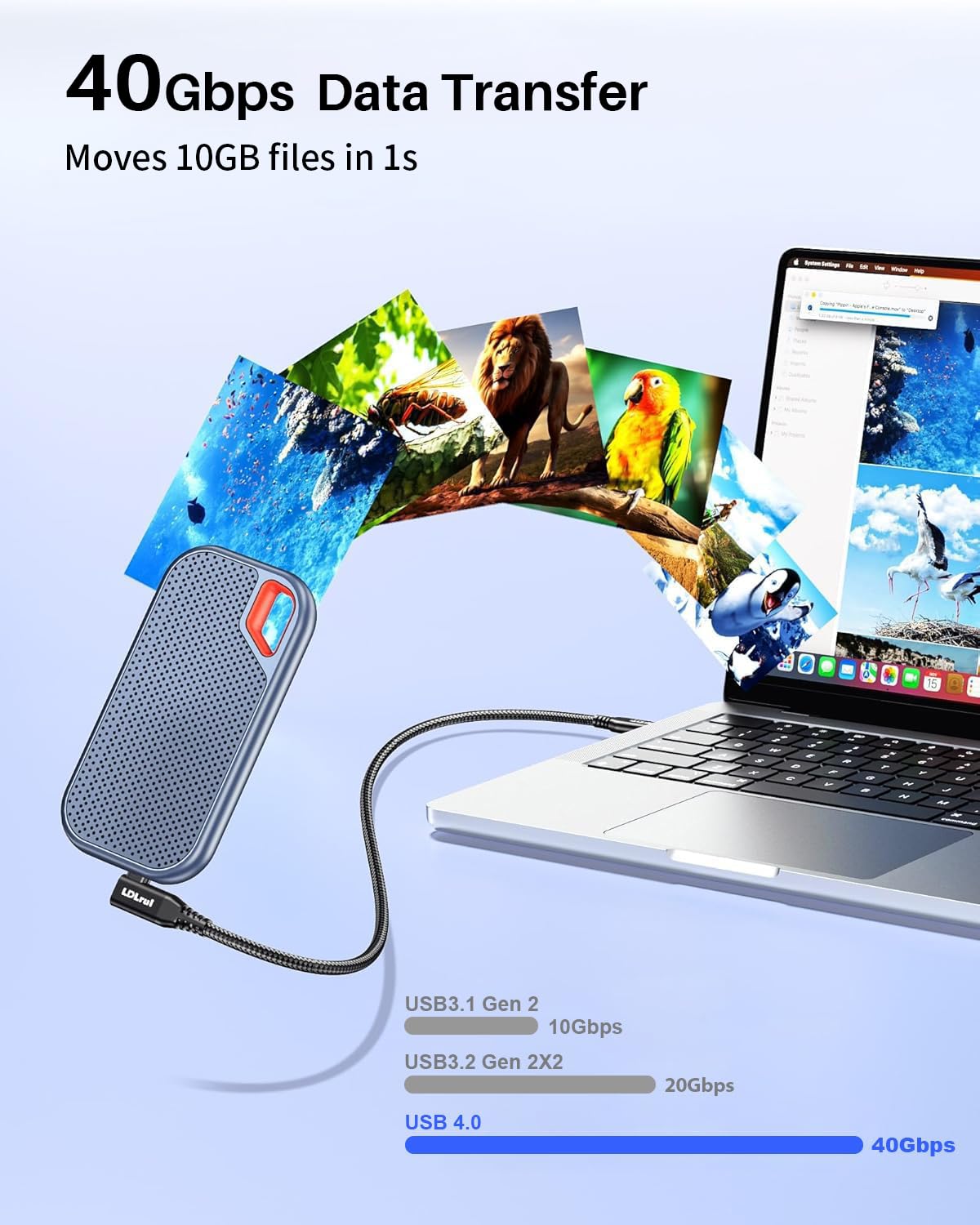 High Speed USB C Data Cable 2FT 2P, 40Gbps Fast Transfer, 8K/4K@60HZ, 240W PD Charging, Right Angle Gold-Plated, Dual USB4 Cable for iPhone 17/16/15, MacBook Pro, iPad, Samsung, SSD, Portable Monitor