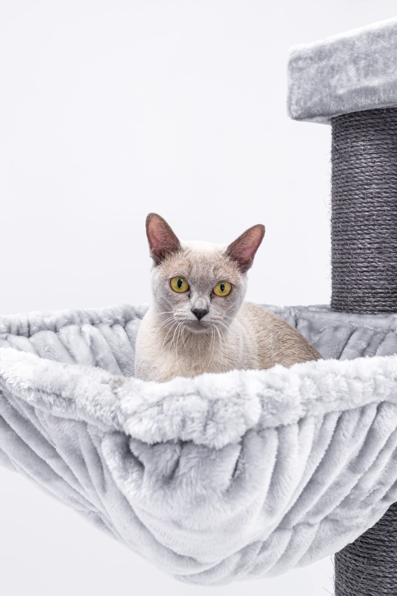 Petrebels Kratzbaum XXL Turnpike 190, Katzenbaum für Maine Coon & große Katzen, Stabiler Katzenkratzbaum 190 cm hoch mit 15 cm Sisalstämmen, Hängematte, Katzenhöhlen & Liegeflächen in Grau