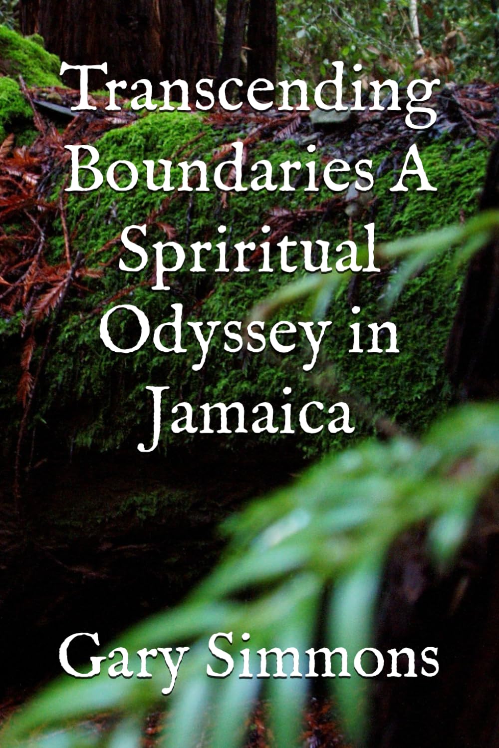 Transcending Boundaries A Spriritual Odyssey in Jamaica