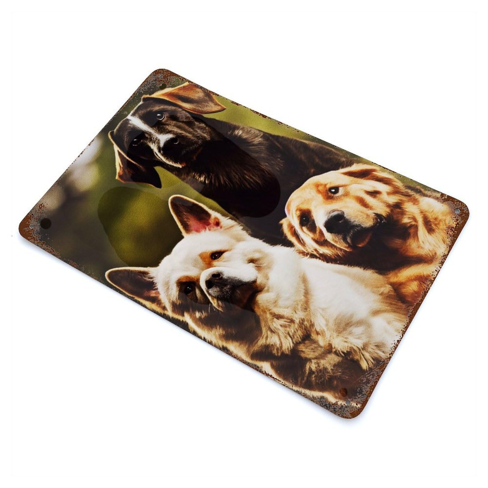Famous Dog Rustic Tin Plaque 11.8"x7.9", for Shed, Workshop And Garage Wall Decor, Shabby Chic Decor