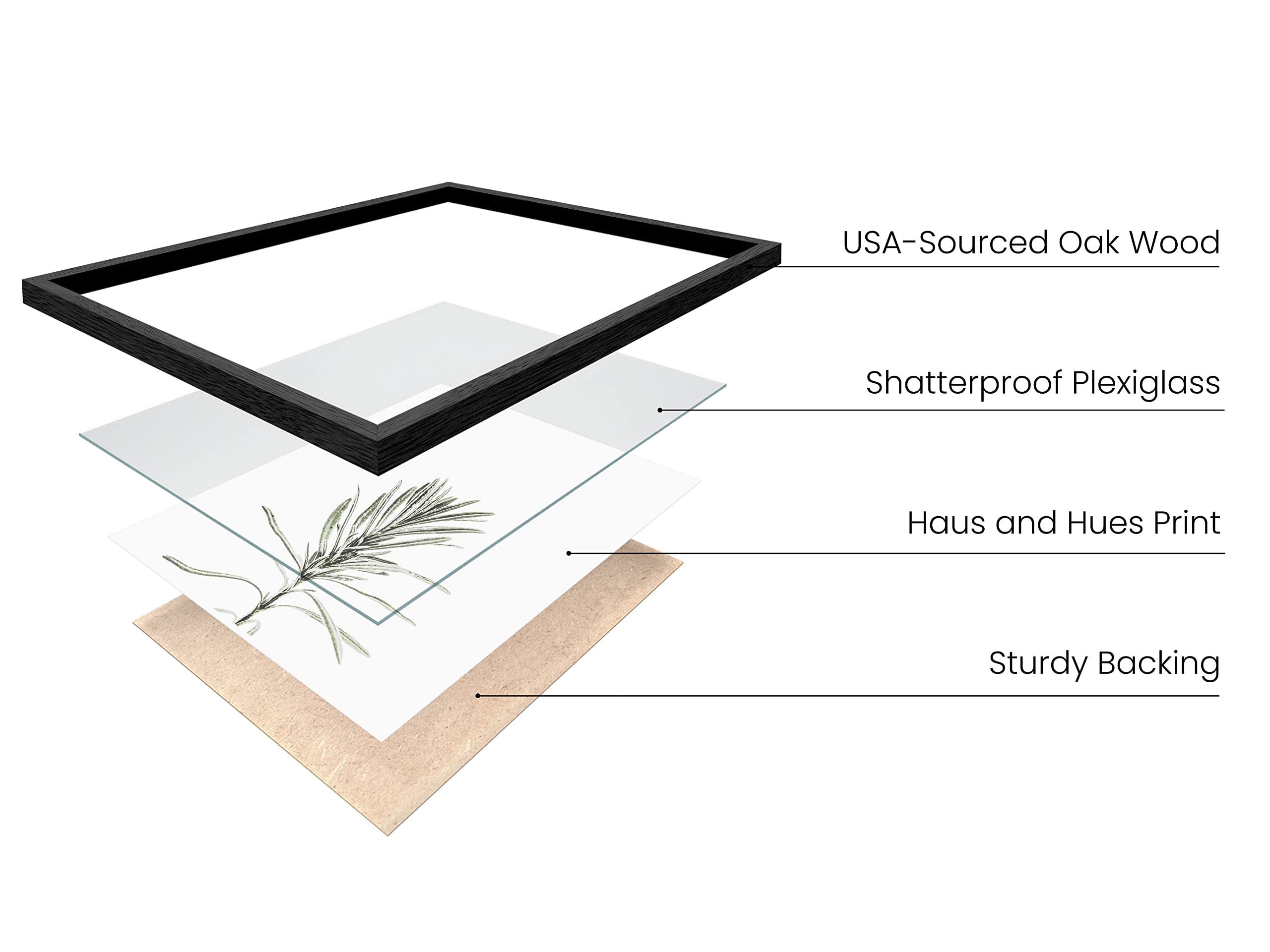 HAUS AND HUES Floral Prints & Plant Posters – Set of 6 Botanical Wall Art, Wildflower and Minimalist Plant Prints (8