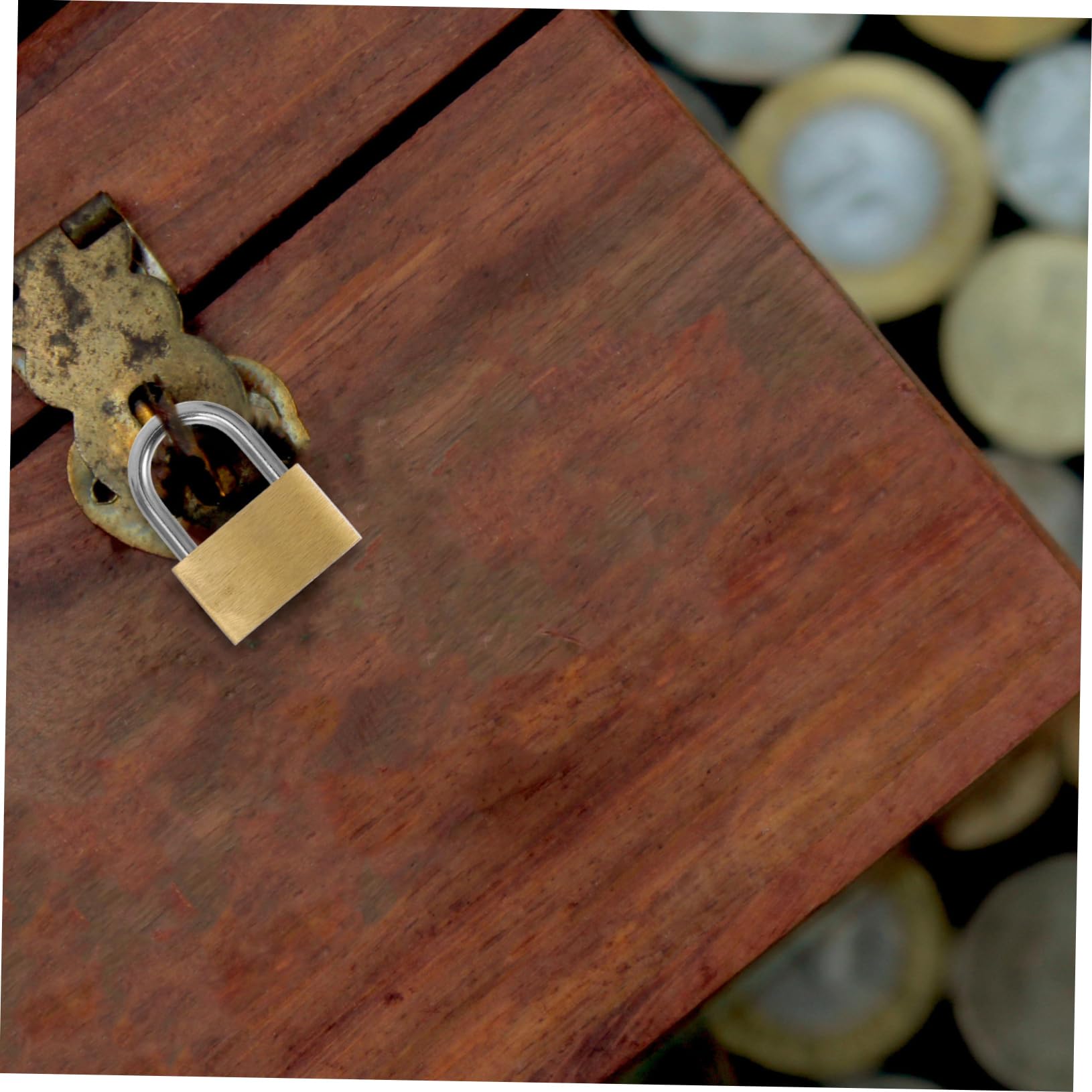 12pezzi Padlock Per Armadietti Stoccaggio e Recinzioni Serrature Chiave Multifunzionale Per Casette