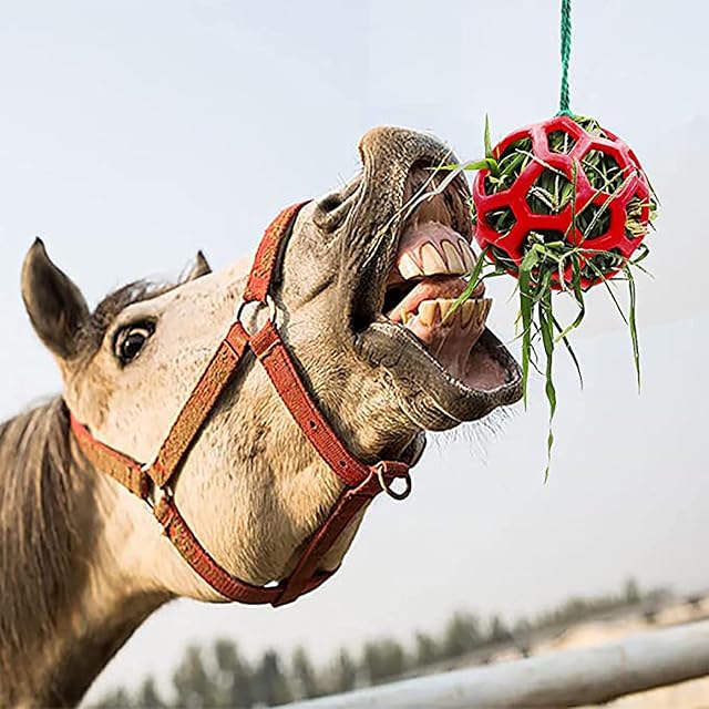 Foto 4 de 7 de Niktule 2 Alimentador Heno Bola Regalo para Caballos, Bola Heno para Caballos