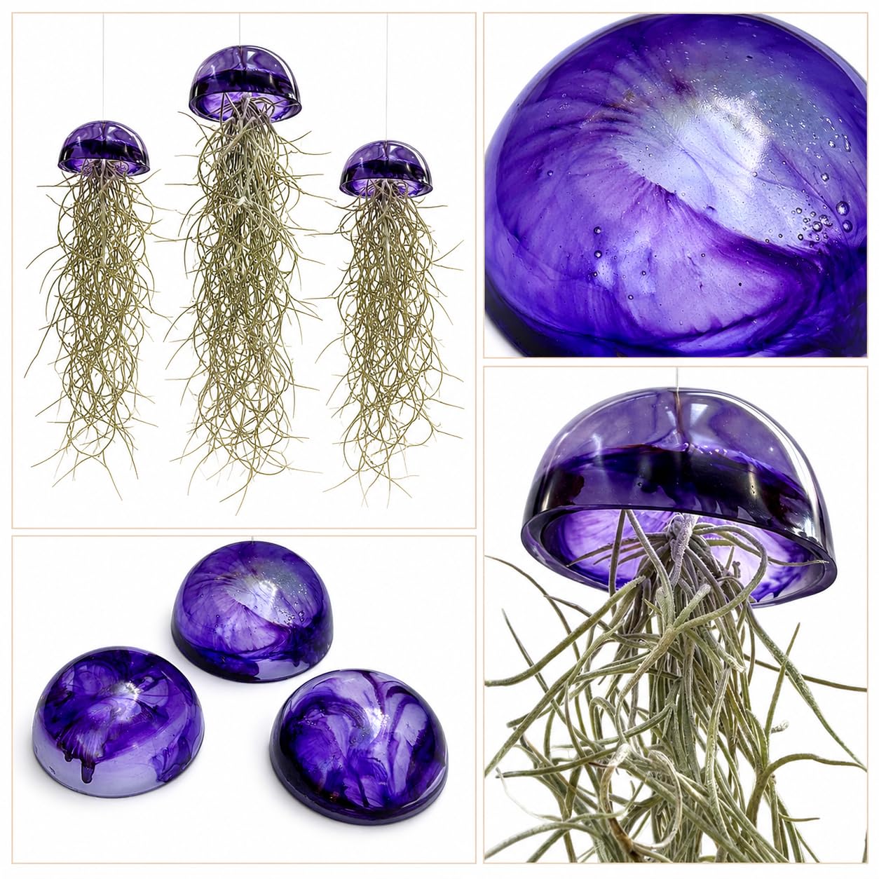 Juego de tres plantas de aire de medusas de cristal púrpura epoxi tillandsia plantas aéreas.
