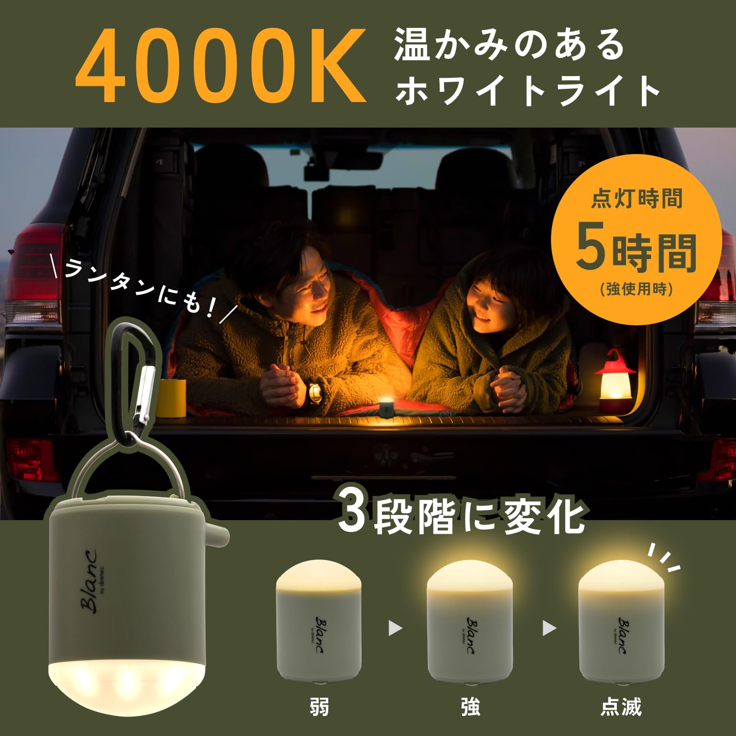 Amazon.co.jp: ドリテック(dretec) エアーポンプ エアポンプ ライト