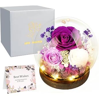 Hossom Eternal Rose in Glass with Light - 100% Real Rose & Symbol of Eternal Love - Ideal Gift for Women as Mothers Day Gift Birthday Gift Grandma Anniversary Gift for Girlfriend and Wife