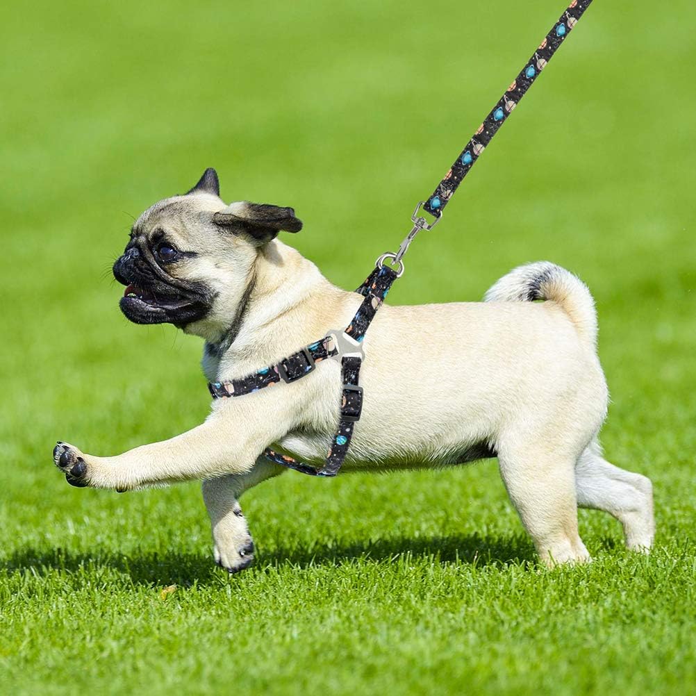 PUPTECK Dog Harness and Leash Collar Set - Adjustable and Soft No Pull Dog Harness, Bowtie Dog Collar for Small Puppy Dogs, Step in Puppy Halter Vest Harness with Galaxy Planet Pattern : Pet Supplies