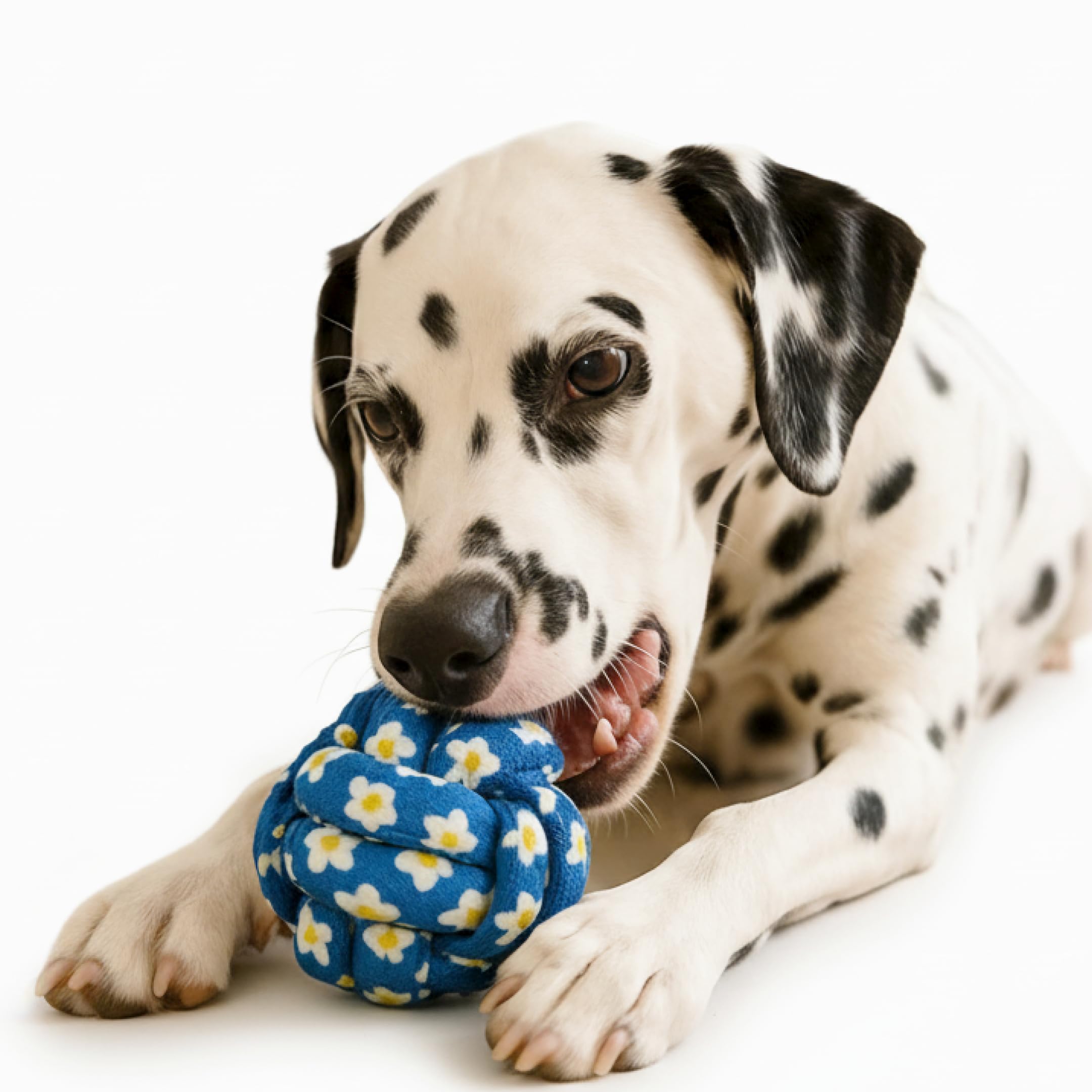 My Pet Me Knotted Ball Rope Dog Toy 2 7 Inch Dog Chew Toy for Puppies and Small