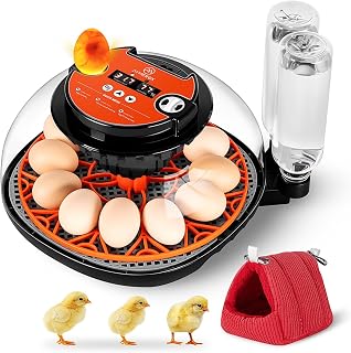 12 Egg Incubator Starter Kit
